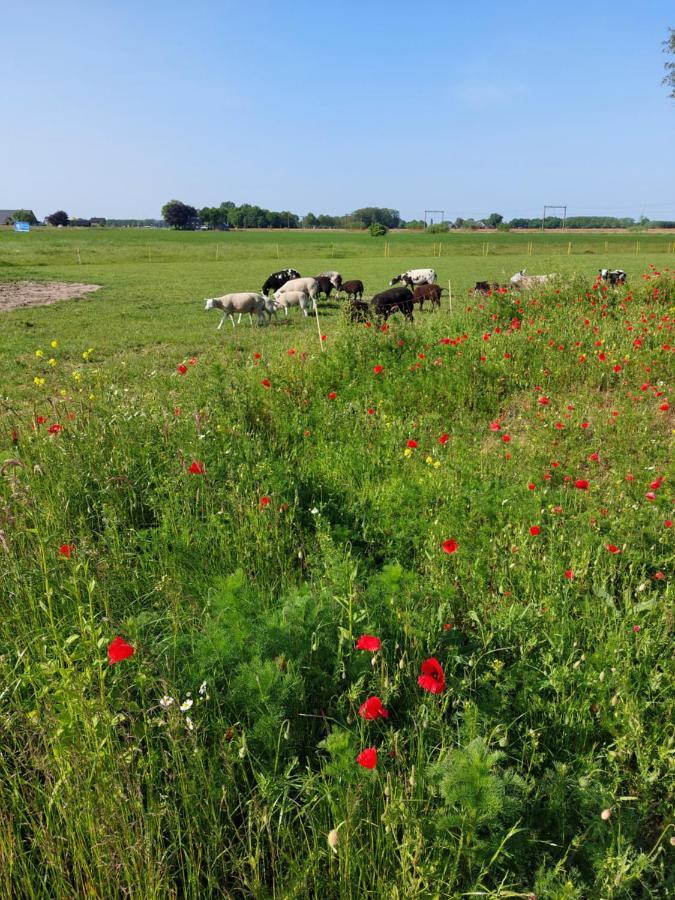Boerderijkamer 'T Keukentje Wijhe Exteriér fotografie
